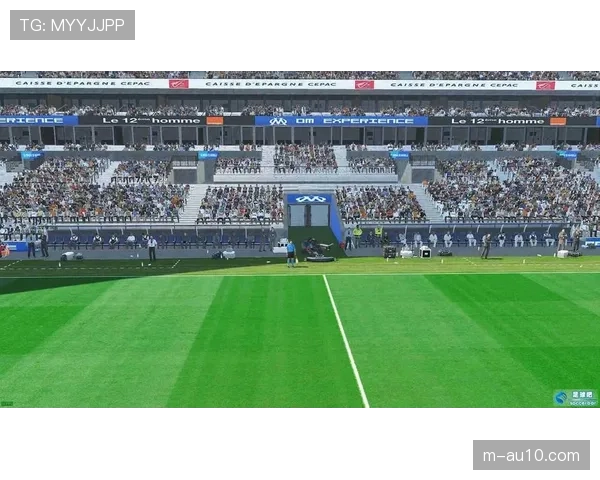 深度调查:马赛韦洛德罗姆球场改造计划因环保评估再次延期